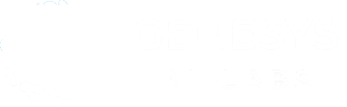 GenesysAi Labs Pvt Ltd