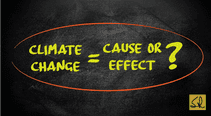 Is Climate Change A Cause Or Effect - My 11th Quality Capsule On Green Quality