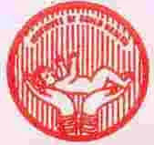 Indira Gandhi Institute of Child Health